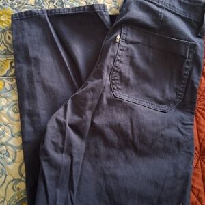 Levi Navy Blue Casual Pants